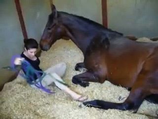 girl_and_horse_sex_stories_xxx